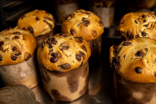 Panettone. Produzione industriale di panettoni natalizi