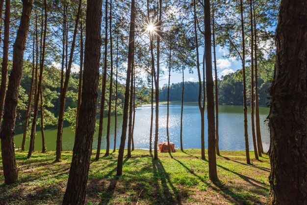 Pang Oung serbatoio nel divieto rak tailandese a Maehongson, Thailandia