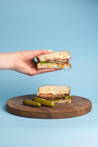 Panino appetitoso con pezzi di carne, verdure e verdure su sfondo blu