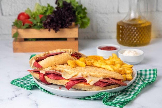 Panino caldo dall'aspetto delizioso - pane tostato. Panino con crostini misti, formaggio cheddar e salame.