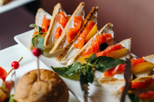 Panino con salmone disposto su un piatto bianco