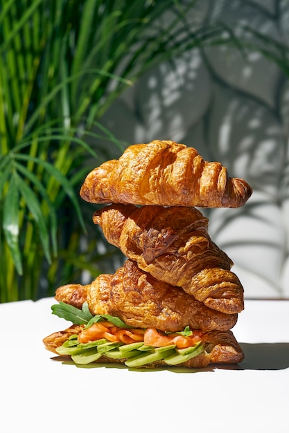 Panino croissant con salmone, rucola e avocado. Luce forte. sfondo bianco