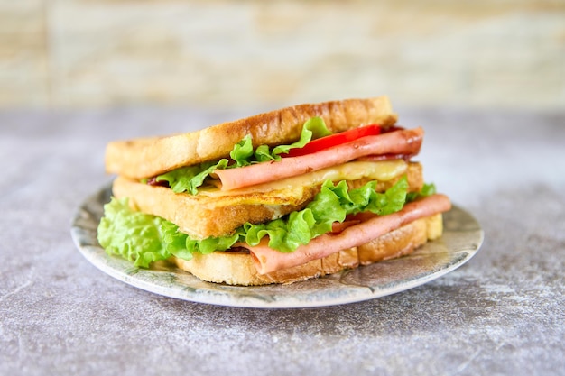 panino delizioso e fresco su una superficie di ardesia