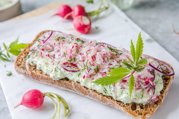 Panino fresco di primavera verde con crema di formaggio e ravanello a sfondo chiaro. Copyspace