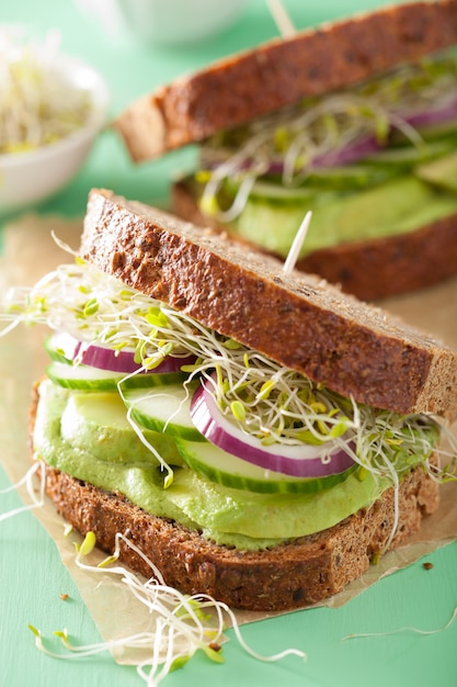 Panino sano dell'avocado con la cipolla dei germogli di erba medica del cetriolo