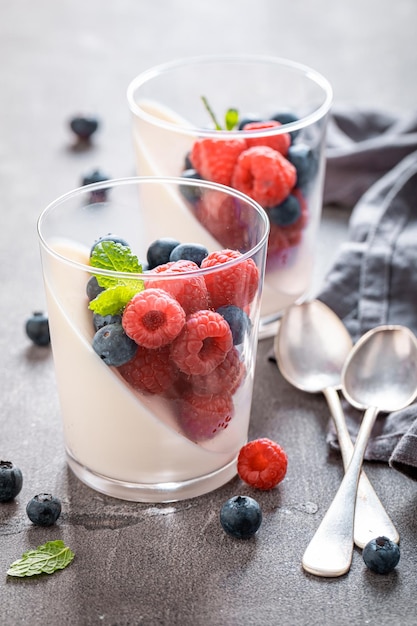 Panna Cotta gustosa e fatta in casa come classico dolce italiano