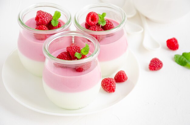 Panna cotta o mousse allo yogurt ai lamponi con lamponi freschi in vasetto