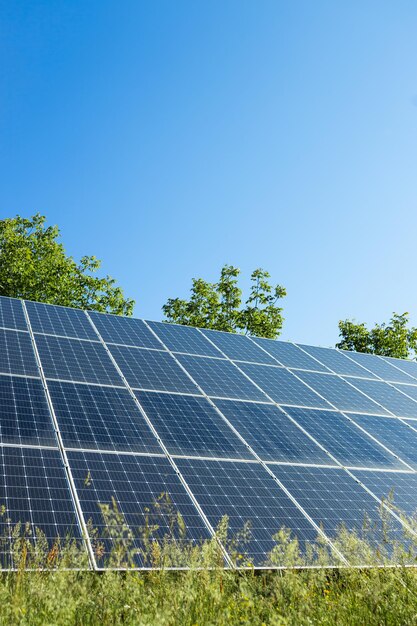 Pannelli solari fotovoltaici sul cielo al tramonto sfondo verde concetto di energia pulita