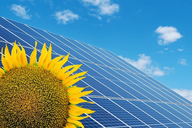 Pannelli solari su una fattoria solare e girasole sotto un cielo blu