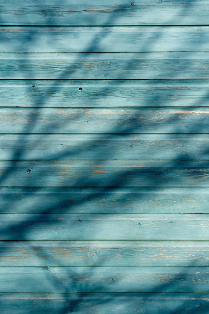 Pannello con struttura in legno con rami e ombra dell'albero. Parete in legno rustico blu con vernice scrostata. Vecchia tavola di vernice in legno con luce e ombra. Stile vintage verticale, concetto di sfondo primaverile o estivo.