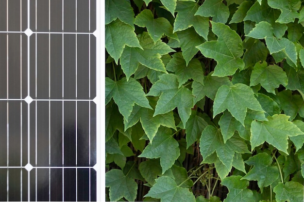 Pannello nero fotovoltaico solare appoggiato su uno sfondo di foglie di piante verdi come solare rinnovabile eco verde