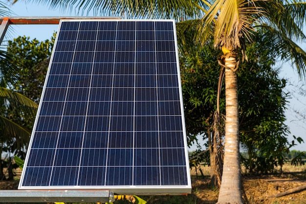 Pannello solare di alimentazione per l'agricoltura in un'area di case rurali Campi agricoli cielo blu sullo sfondo, agro-industria della famiglia in stile rurale in Thailandia, concetto di energia verde pulita alternativa di fattoria intelligente