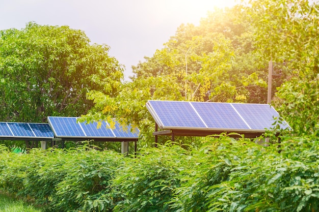 Pannello solare nella torre di alimentazione forestale intorno con albero verde nella zona di campagna