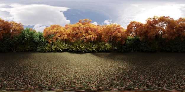 Panorama a 360 gradi della foresta, prato in mezzo agli alberi, VR, illustrazione 3D, rendering cg