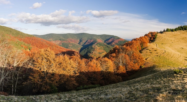 Panorama autunnale delle montagne. Paesaggio soleggiato