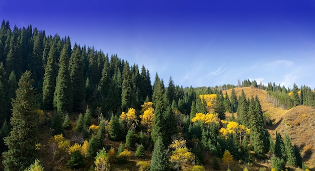 Panorama autunnale delle montagne