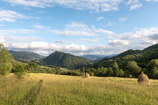 Panorama dei Carpazi con montagne, nuvole, erba, pagliai e una strada campestre