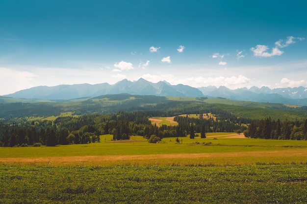 Panorama dei monti Tatra in estate