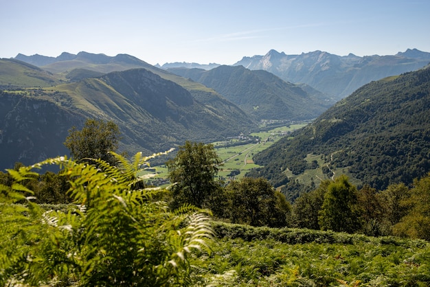 Panorama dei Pirenei francesi con felci