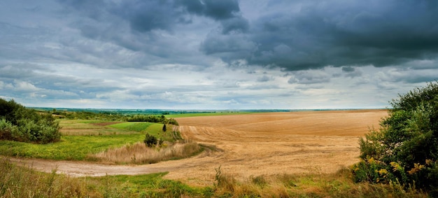 Panorama del campo dopo la vendemmia e il campo verde sotto nubi di tempesta scure al confine tra estate e autunno