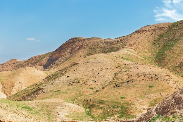 Panorama del deserto della Giudea in primavera in Israele