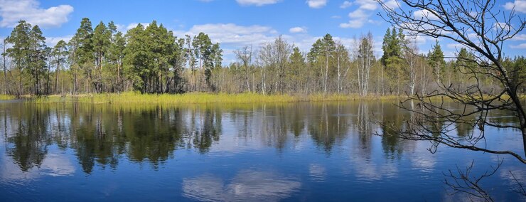 Foto panorama del fiume di primavera nel parco nazionale