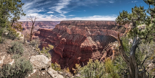 Panorama del Grand Canyon