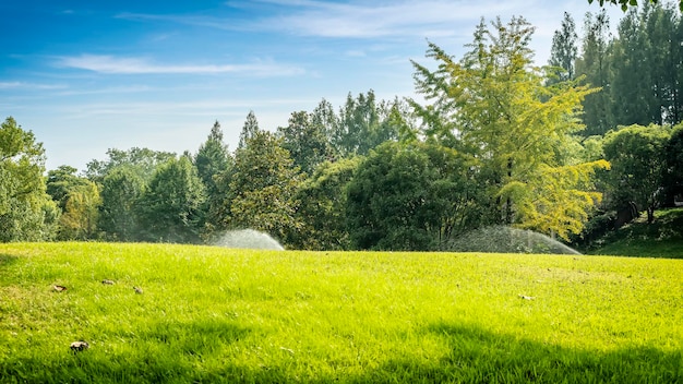 Panorama del grande parco cittadino