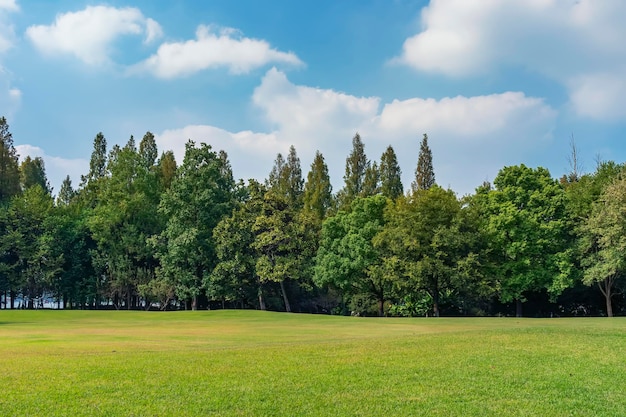 Panorama del grande parco cittadino