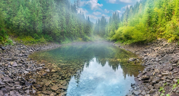 Panorama del lago blu nebbioso della foresta