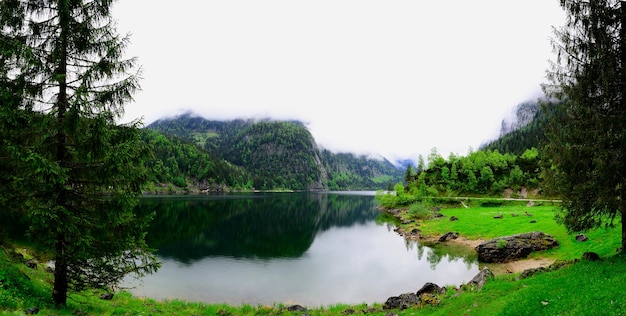 Panorama del lago e degli alberi