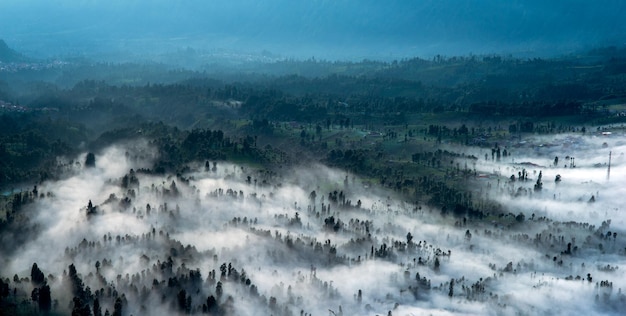 Panorama del paesaggio della nebbia mattutina