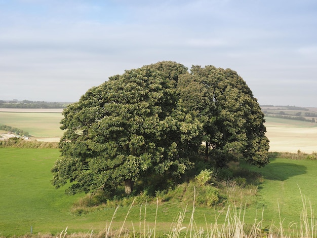 Panorama del paese inglese a Salisbury