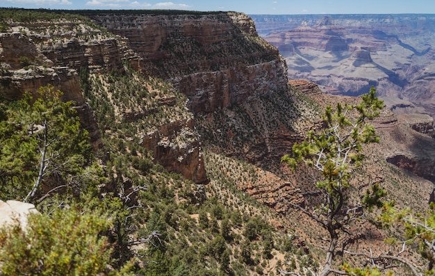 Panorama del parco nazionale del Grand Canyon vista panoramica arizona usa dal bordo sud incredibile foto panoramica