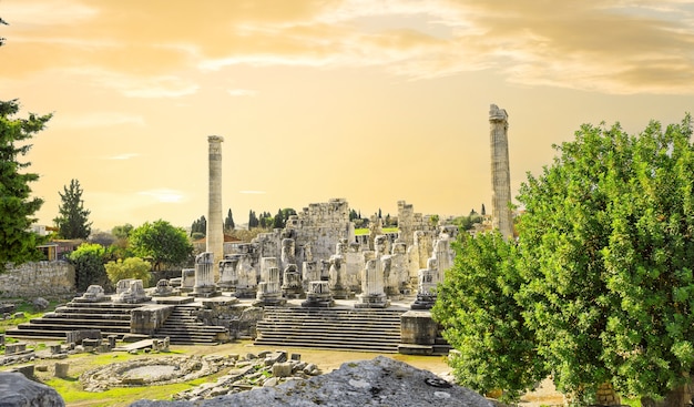 Panorama del Tempio di Apollo a Didim in una sera d'estate. tacchino