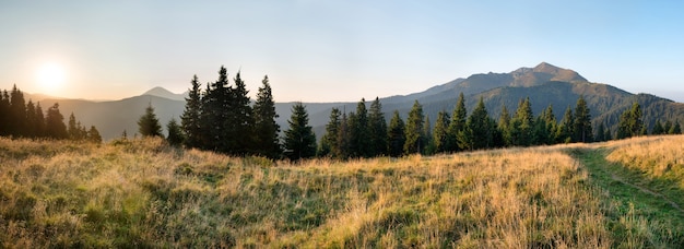 Panorama del tramonto in montagna con colline, foreste e pini