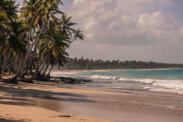 Panorama della bellissima e naturale spiaggia di Playa Limon nella Repubblica Dominicana