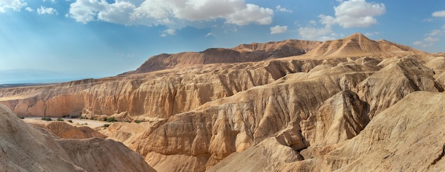 Panorama della gola del letto del fiume essiccato del fiume OG vicino al Mar Morto in Israele