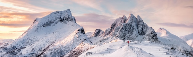 Panorama della montagna del picco innevato