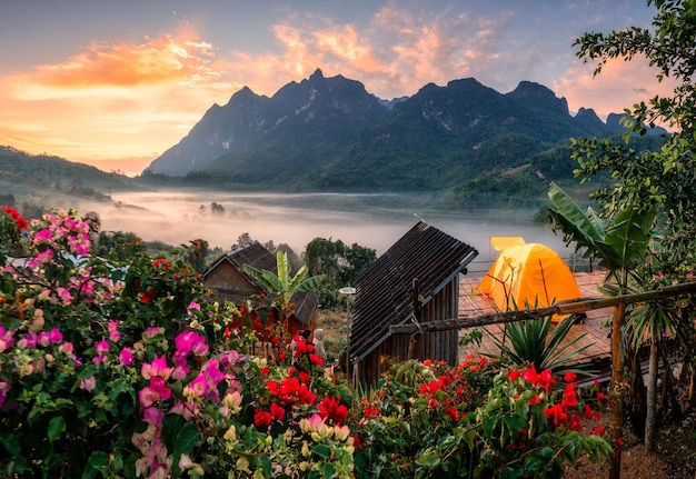 Panorama della montagna di Doi Luang Chiang Dao con nebbia, fioritura di fiori e tenda da campeggio sul balcone nel villaggio tradizionale di Ban Na Lao Mai, Chiang Dao, Chiang Mai, Thailandia