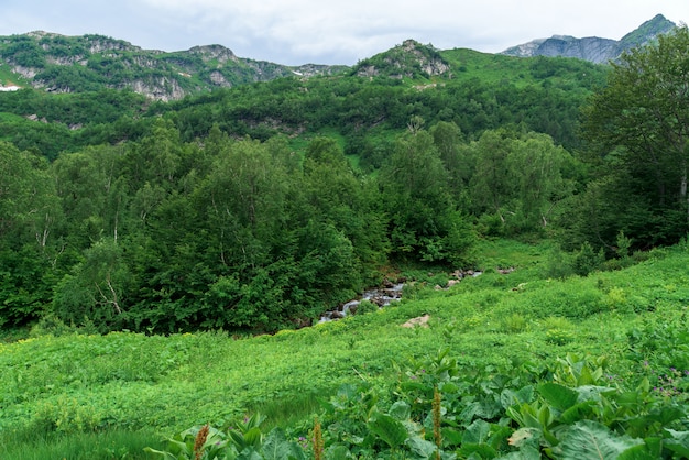 Panorama della montagna