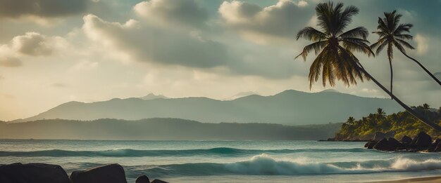 Panorama della spiaggia delle Seychelles con le palme al tramonto