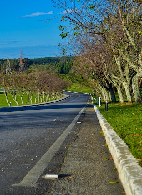 Panorama della strada asfaltata in campagna nella soleggiata sera autunnale.