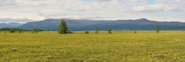 Panorama della tundra nel parco naturale di Taimyr