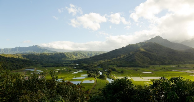 Panorama della valle di Hanalei a Kauai