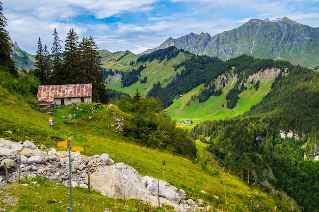 Panorama delle Alpi svizzere