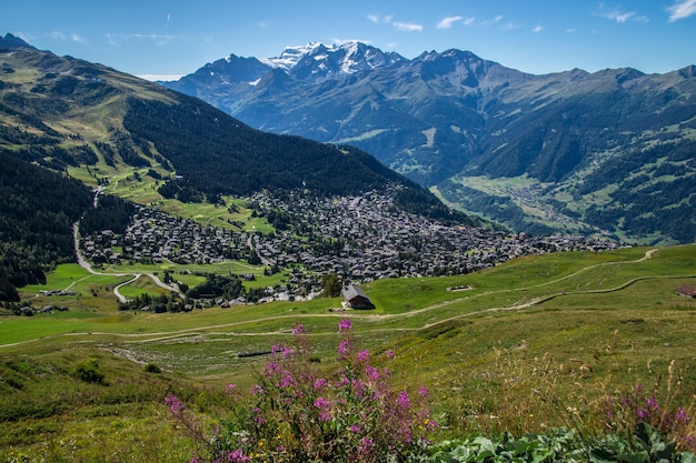 Panorama delle Alpi svizzere