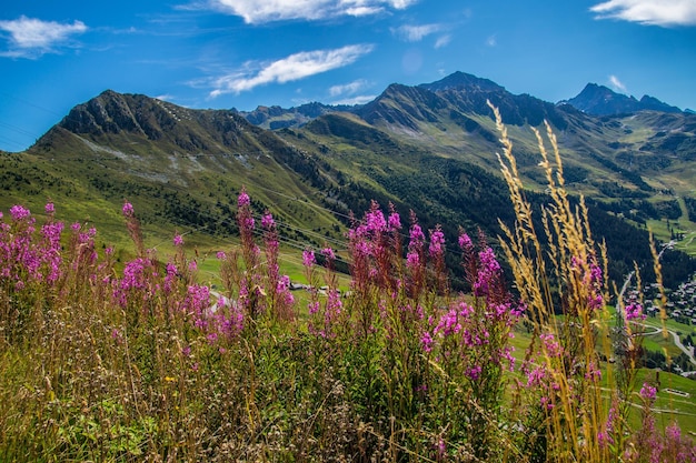 Panorama delle Alpi svizzere