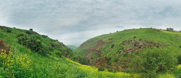 Panorama delle alture del Golan in primavera in Israele