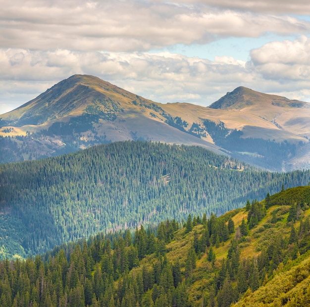 Panorama delle montagne carpatiche nel giorno soleggiato di estate